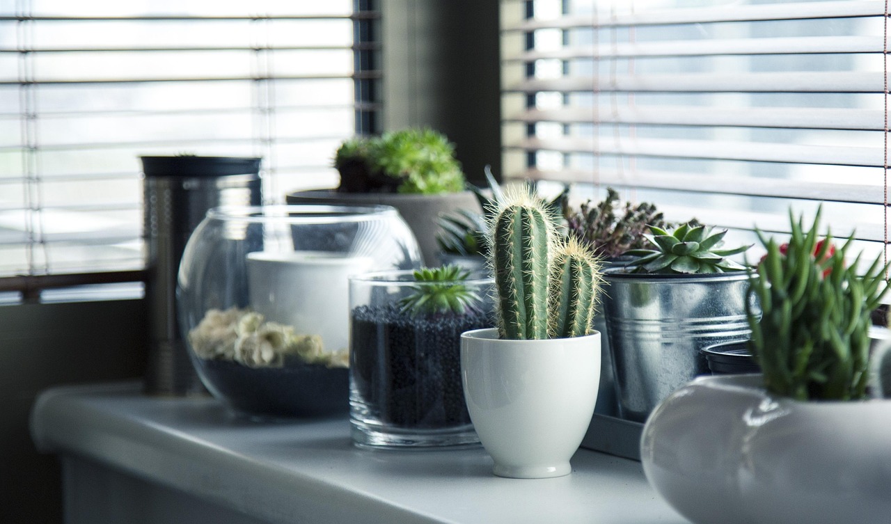 Groene planten met LED-verlichting in woonkamer. Groene planten met LED-verlichting in woonkamer.