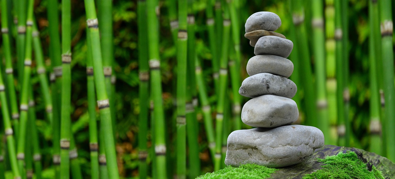 Zen zaaiplaats: een rustgevende hoek voor je journaling routines