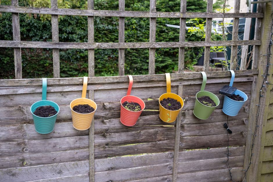 Mini-herb tuinieren op het balkon voor frisse zomersmaken