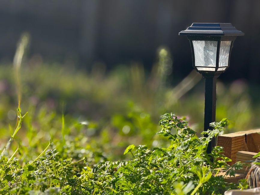 LED lantaarn met zonvermogen in schemering. LED lantaarn met zonvermogen in schemering.