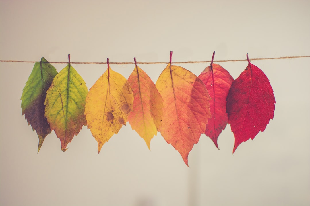 DIY herfstdecoraties: breng warmte en sfeer met zelfgemaakte creaties