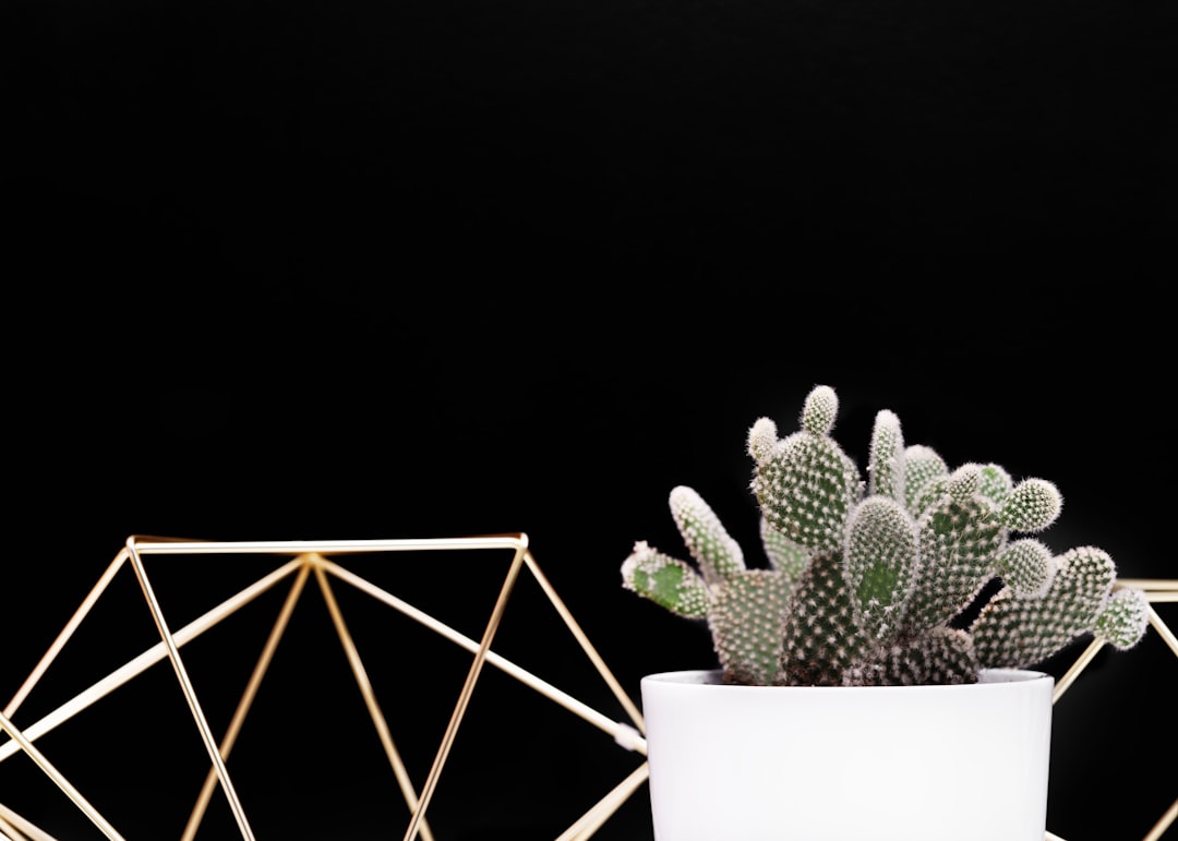 Zwarte en goudkleurige accenten: de herfsttrend voor een chic interieur